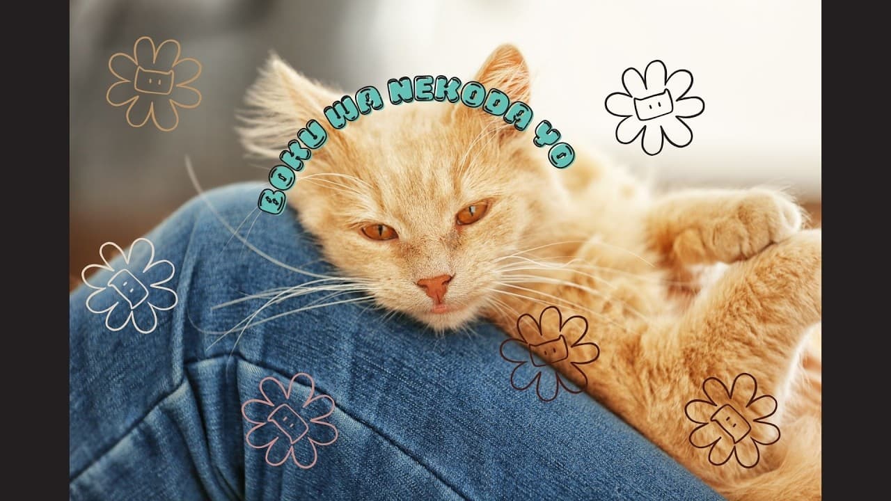 RF – Boku wa Nekoda yo | Japanese Cat Day Music Video