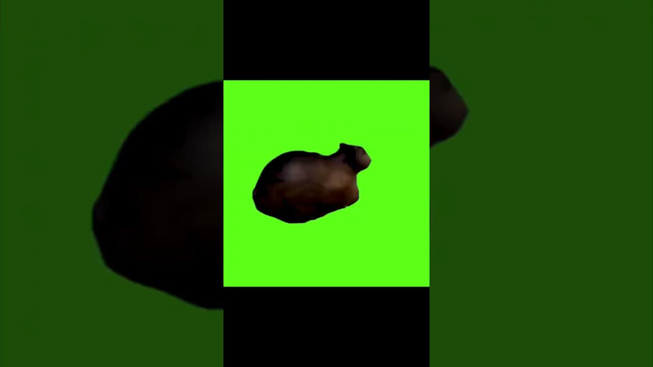 #RF – Boku wa Nekoda yo #cute #cat #song